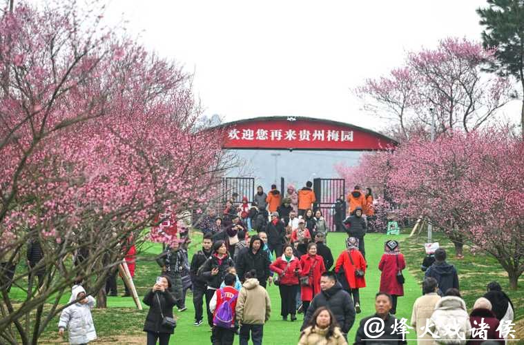 贵州梅园开园迎客